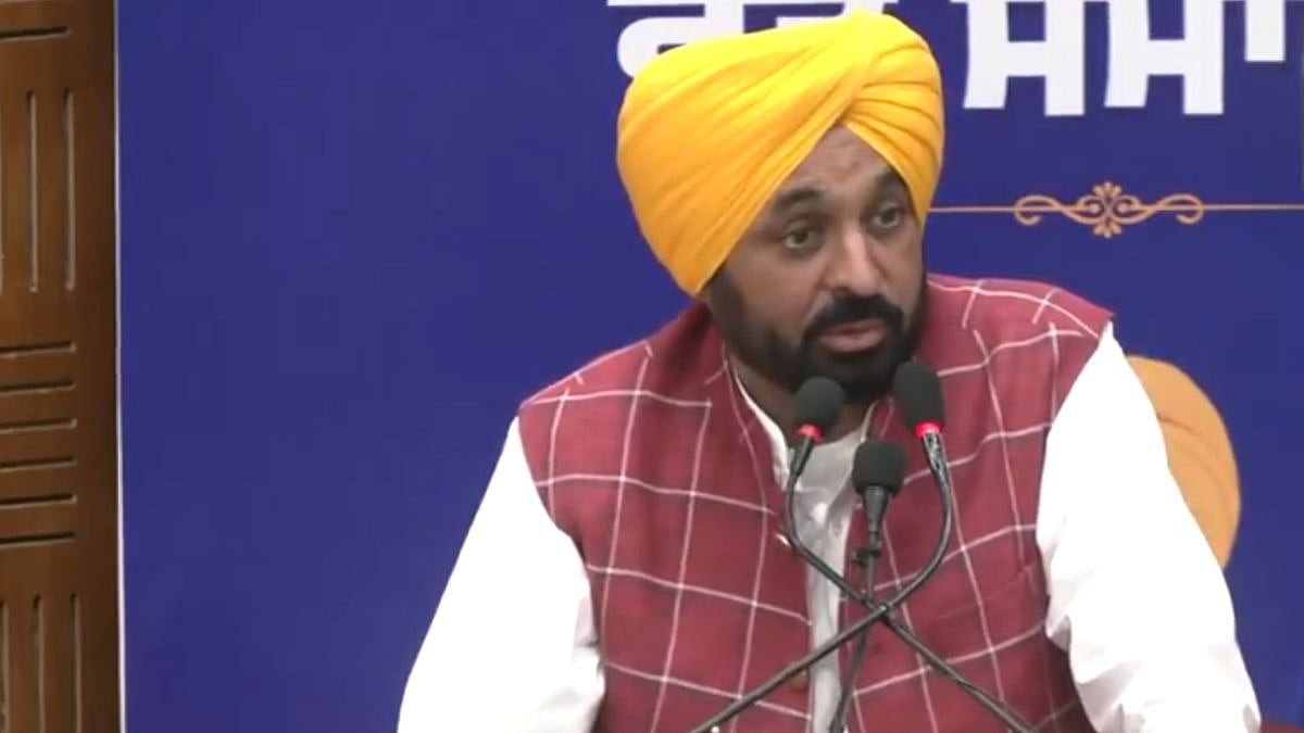 'Will Implement Supreme Court Order In Letter And Spirit': Bhagwant Mann Defends Punjab’s Stray Dog Crackdown Amid Nationwide Debate