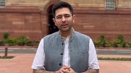 Delhi High Court Refuses Interim Relief To Raghav Chadha, Says Political Satire Cannot Be Silenced