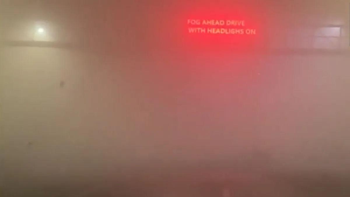 Image for 'Dense Fog And Cold Wave Bring North India To A Halt, Flights And Trains Disrupted'